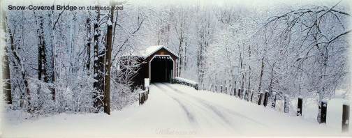 Snow Bridge