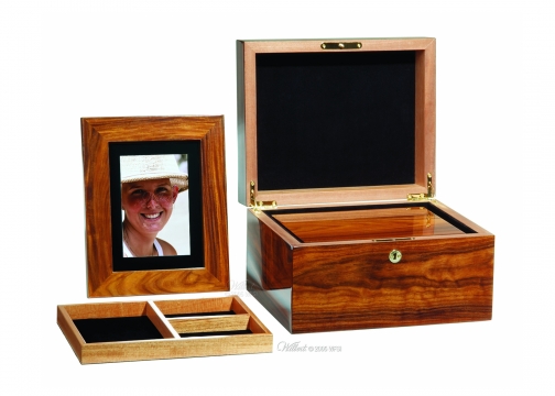 Argus Memory Chest Cremation Urn