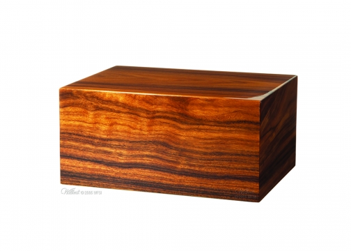 Argus Memory Chest Cremation Urn