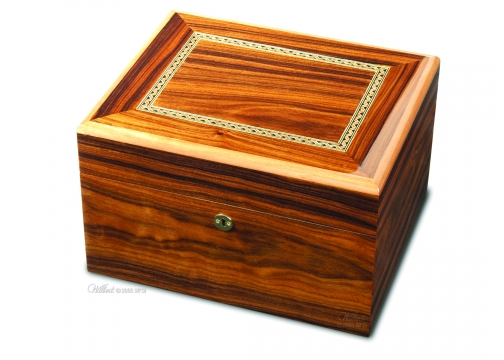 Argus Memory Chest Cremation Urn