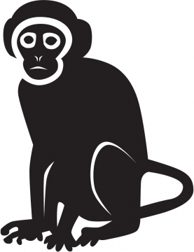 Monkey