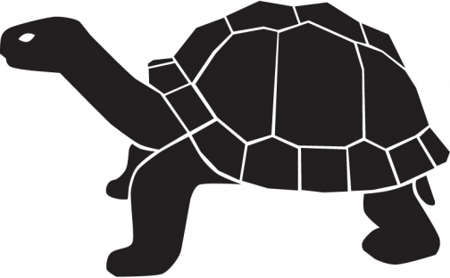 Tortoise