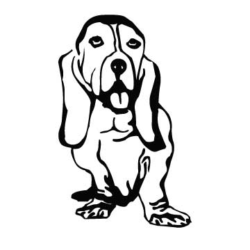 Dog (Bassett)