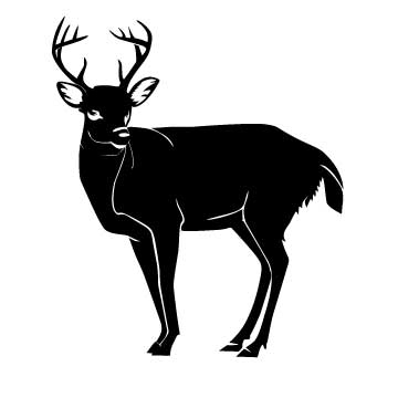 Deer (Version 1)