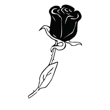 Rose (Elegant)