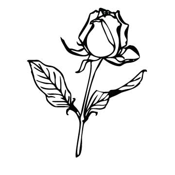 Rose (Simple)