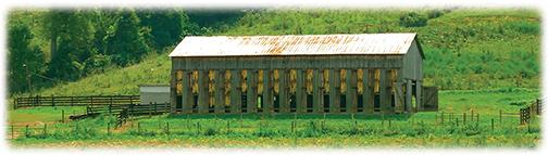 Tobacco Barn