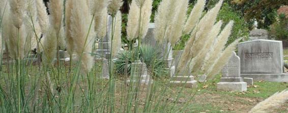 Wilbert Burial Vault & Cremation Urns, Joliet, IL